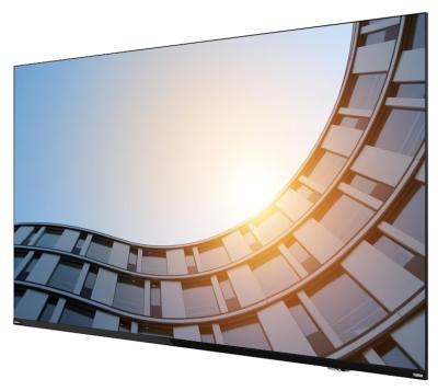 LENOVO ThinkVision E65 LFD 64,5"