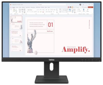LENOVO ThinkVision E24-40