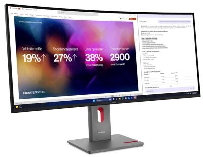 LENOVO ThinkVision P40WD-40 39,7"