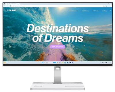 LENOVO L24D-4C 23,8"