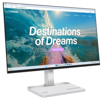 LENOVO L24D-4C 23,8"