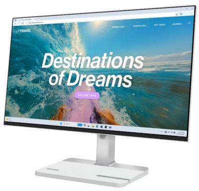 LENOVO L24D-4C 23,8"