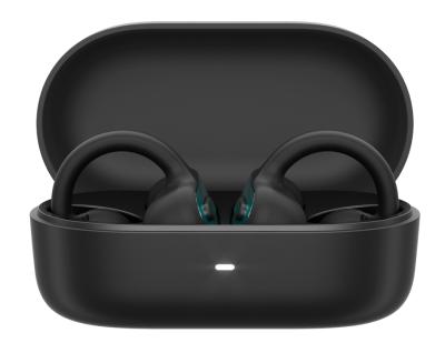 LENOVO Earbuds X500