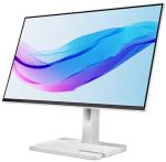 LENOVO L24m-4A 23,8"