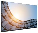 LENOVO ThinkVision E65 LFD 64,5"