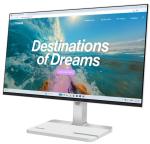 LENOVO L24D-4C 23,8"